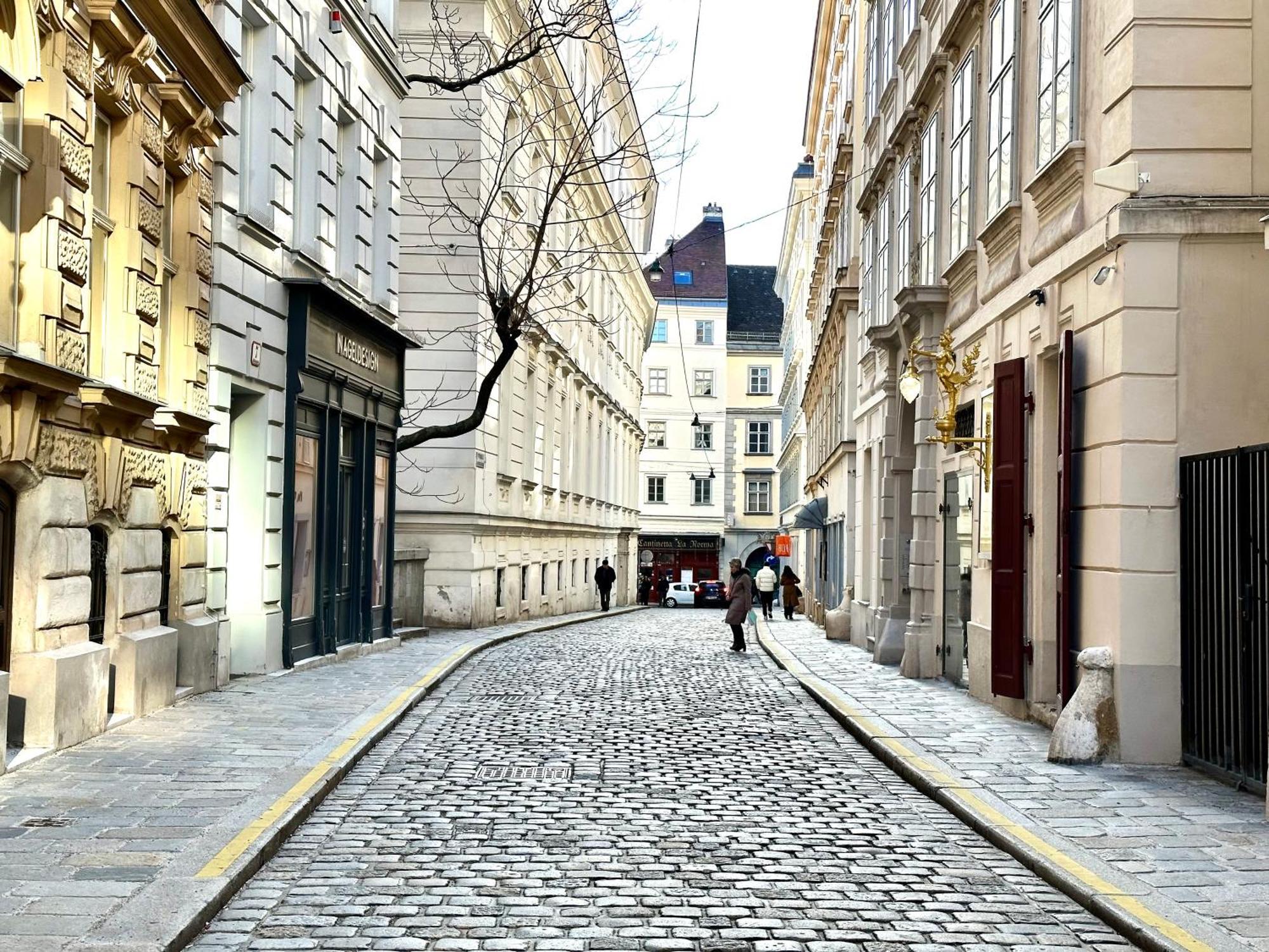 Central Stephansdom Apartment I Netflix I Self Check In Wina Bagian luar foto